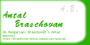 antal braschovan business card